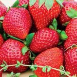 Petits fruits