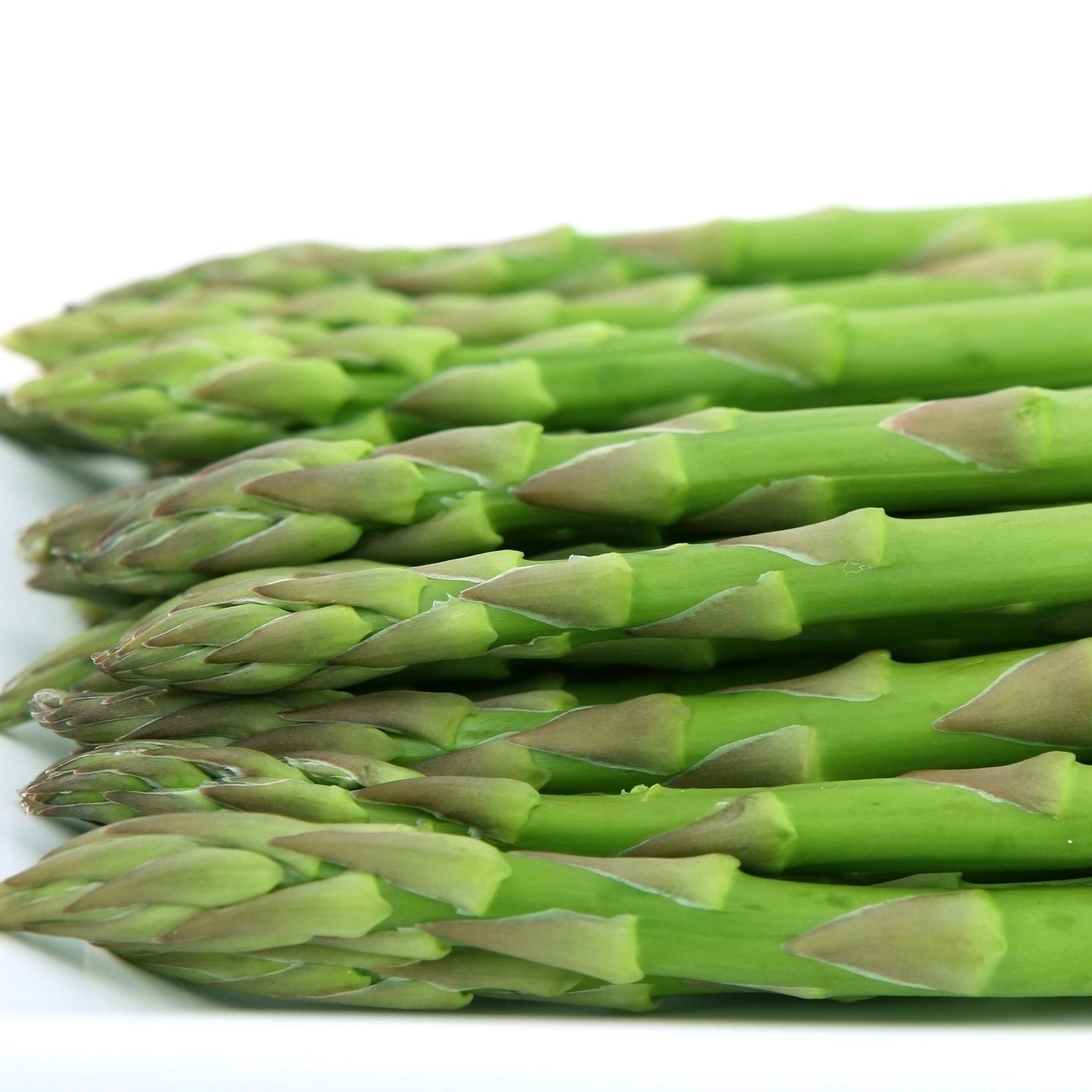 Asparagus 'Eclipse'